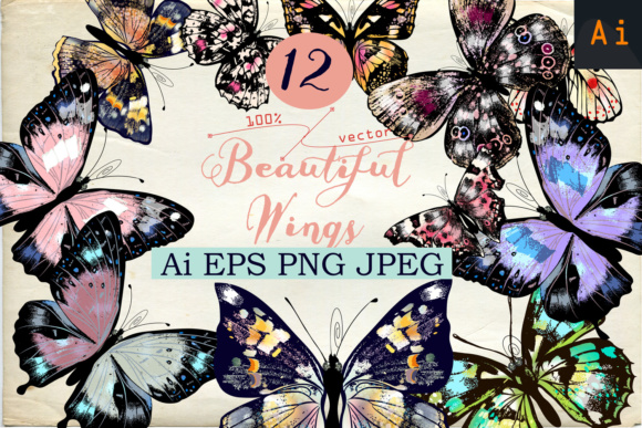 Download Beautiful Collection From12 High Detailed and Quality Butterflies. - Beautiful collection Collection